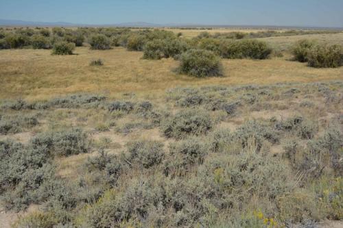 Arapaho national wildlife refuge