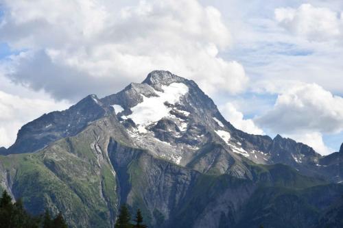 La Muzelle (3465 m) depuis Les 2 Alpes