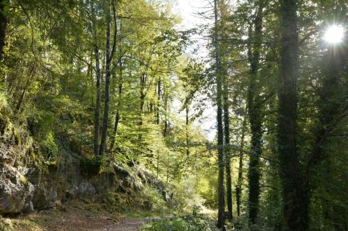Cascades du Hérisson