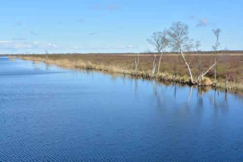 Réserve Lille Vildmose