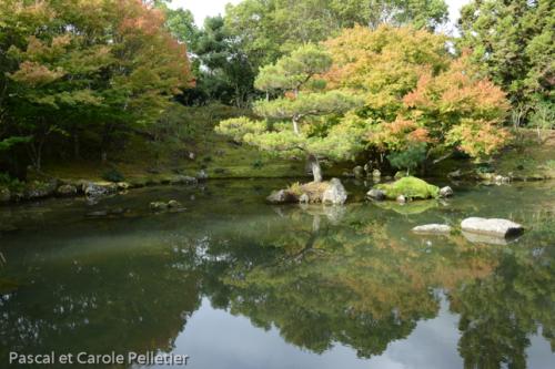 Jardin japonais 