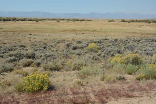 Arapaho national wildlife refuge