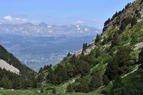 Font-Romeu