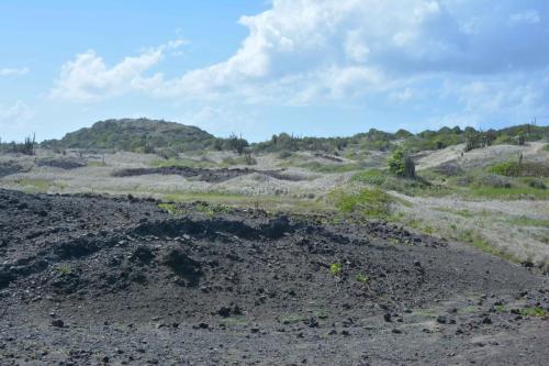 Savane des pétrifications