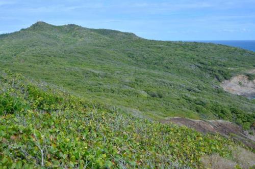 Presqu'ile de la Caravelle