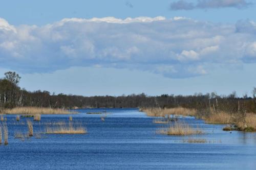Réserve Lille Vildmose