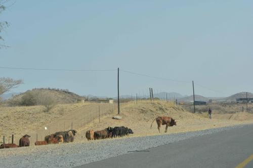 Sur la A1 près de Windhoek