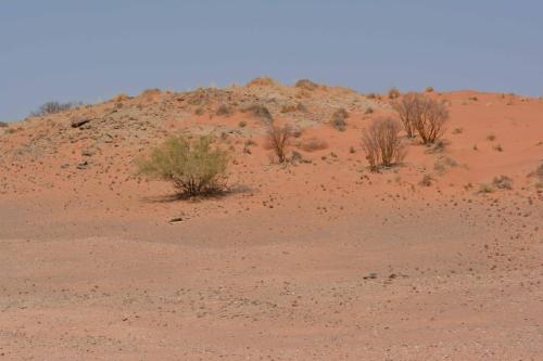 Sur la C14 en direction de Solitaire