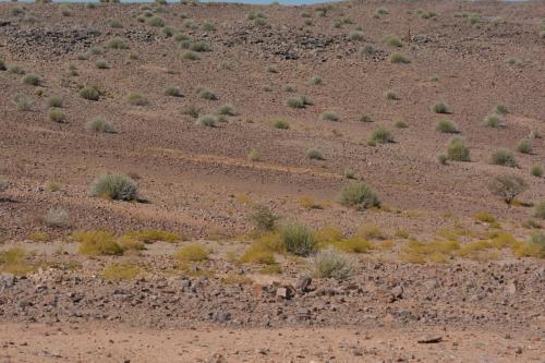 Près de Gondwana Canyon Village