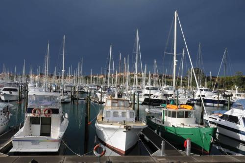 Marina de Gulf Harbour