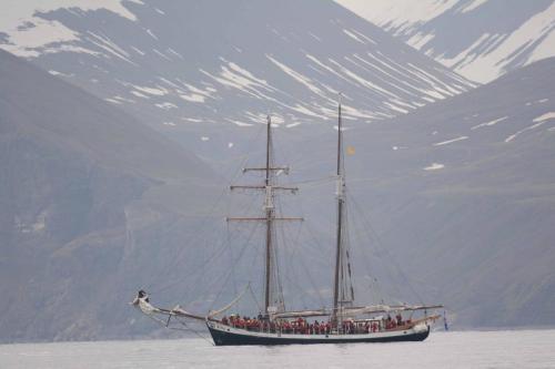 Voilier d'observation de baleines