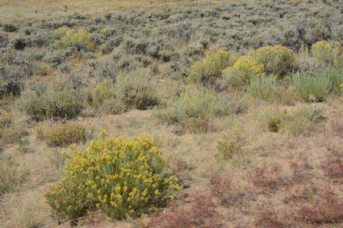 Arapaho national wildlife refuge