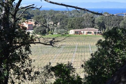 Ferme du Brégançonnet  (Porquerolles)