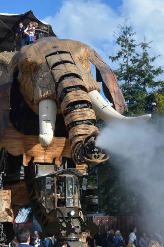 le Grand Éléphant