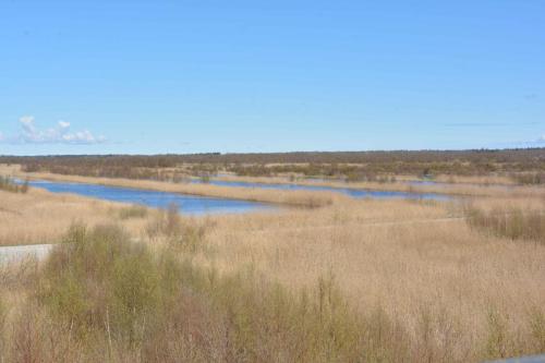 Réserve Lille Vildmose