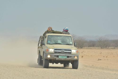Sur la C39 entre Khorixas et  Petrified forest
