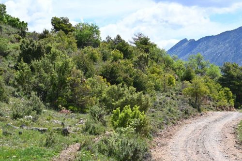 Près de Pessonada