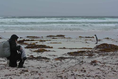 Conditions difficiles, fort vent et pluie.