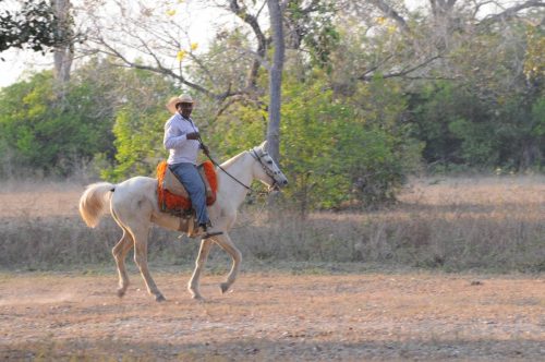 Pantaneiro (cavalier du Pantanal)