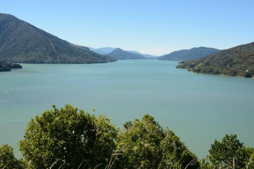 Pelorus sound 