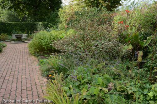 Jardin anglais 