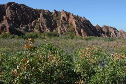 Roxborough state park