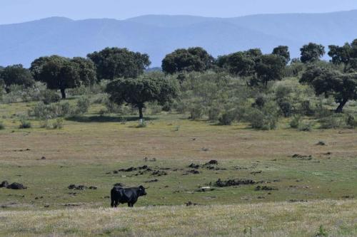 Près de Embalse de Sierra Brava