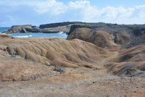 Savane des pétrifications