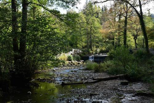 Cascades du Hérisson,  moulin Jeunet