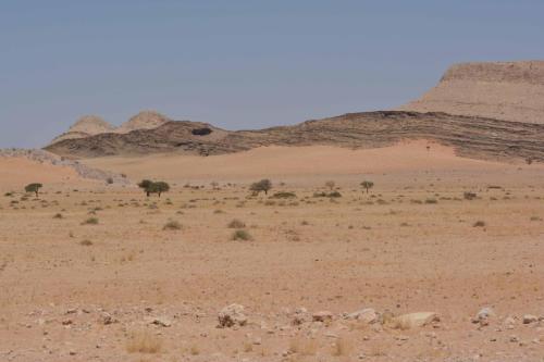 Sur la C14 en direction de Solitaire