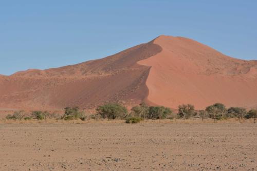 Dunes de Sossusvlei