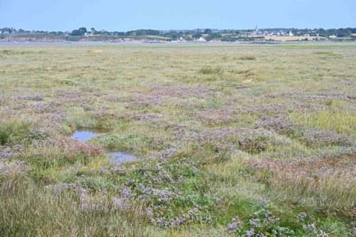 Baie de Saint-Brieuc