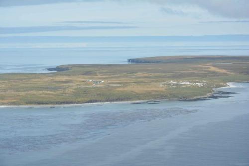 Arrivée sur Sea Lion Island