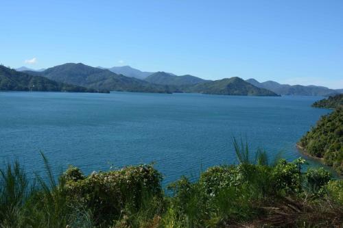 Queen Charlotte sound 