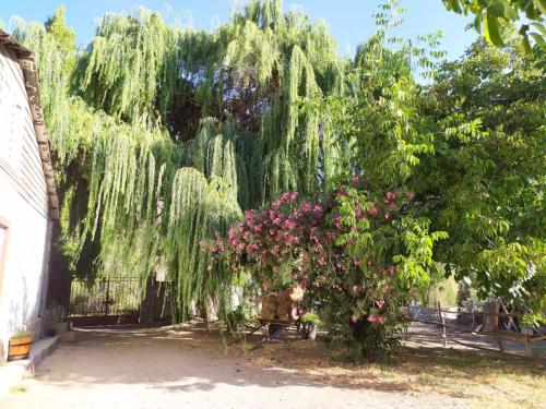Maison d'hôtes "El Resguardo"