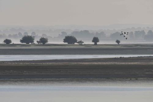 Paysage du lac du Der