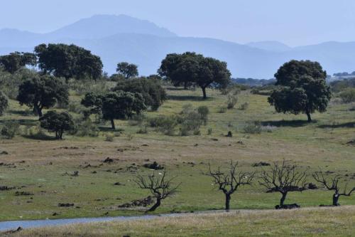 Près de Embalse de Sierra Brava