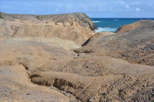 Savane des pétrifications