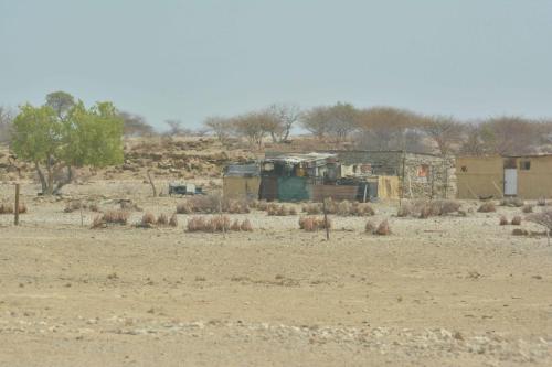 Sur la C39 entre Khorixas et  Petrified forest