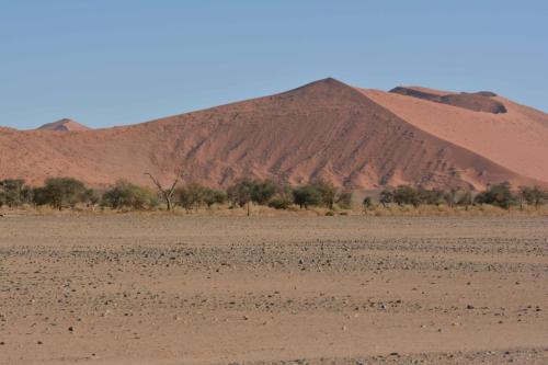 Dunes de Sossusvlei
