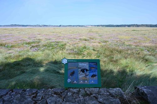 Baie de Saint-Brieuc