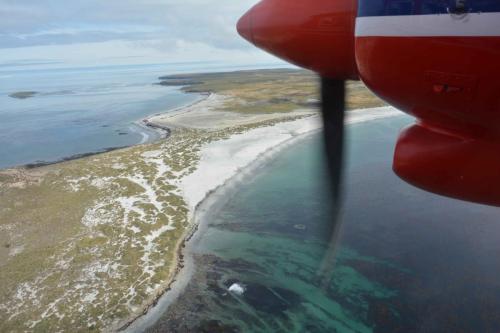 Arrivée sur Sea Lion Island