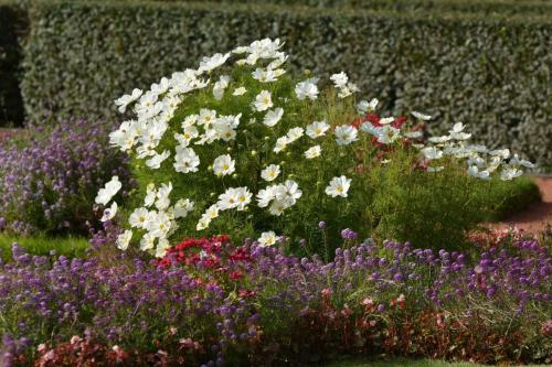 Peterhof (Résidence d'été impériale de Pierre 1er)