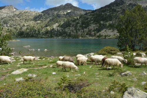 Lac d'Aumar
