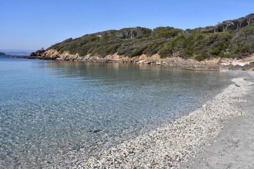 Plage du Sud (Port-Cros)