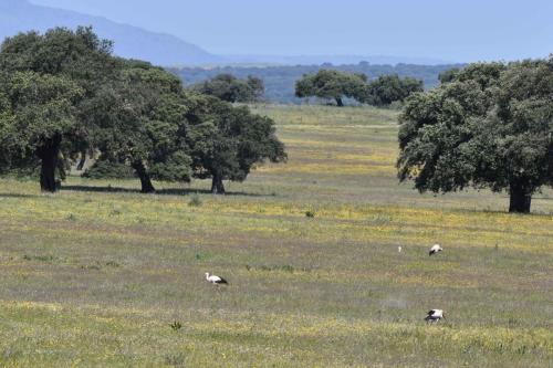 Près de Embalse de Sierra Brava