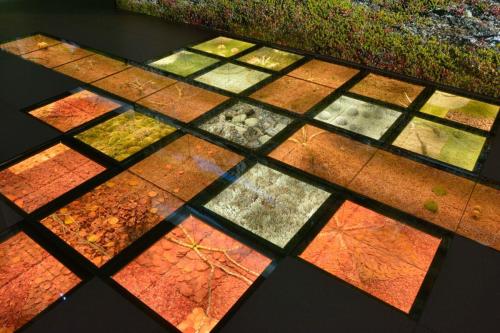 Musée Sami à Inari