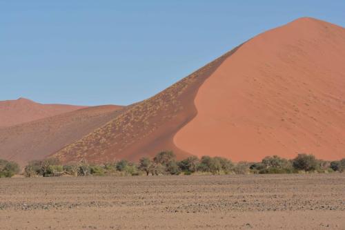 Dunes de Sossusvlei