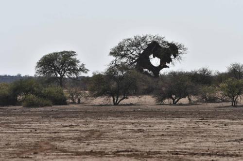 Nid de républicains sociaux