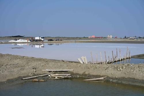 Pak Thale Nature Reserve